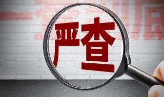 没人报案的案子会查吗 无人报案的世界